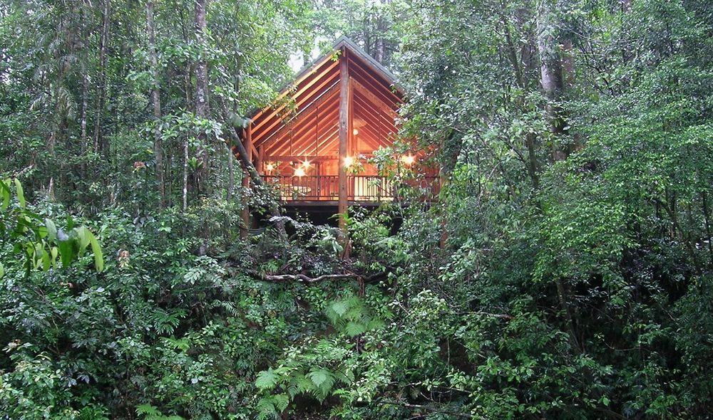 The Canopy Rainforest Treehouses & Wildlife Sanctuary Tarzali Buitenkant foto