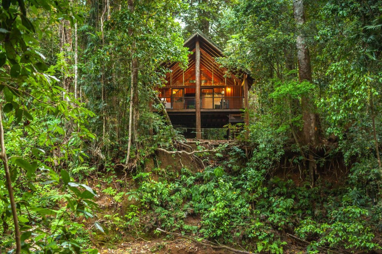 The Canopy Rainforest Treehouses & Wildlife Sanctuary Tarzali Buitenkant foto